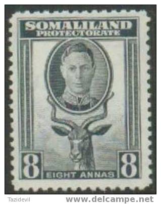 Somaliland - 1942 8c King George VI. Scott 102. Animals. - Somaliland (Herrschaft ...-1959)