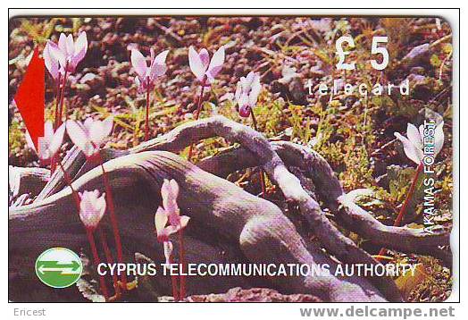 CHYPRE TELECARD 5 PHOTO DE FLEURS N° 18CYPB707147 B  ETAT COURANT - Chypre