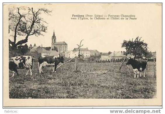 Ferrières - Paysage Champêtre Vers L'Eglise, Le Château Et L'Hôtel De La Poste - Ferrieres