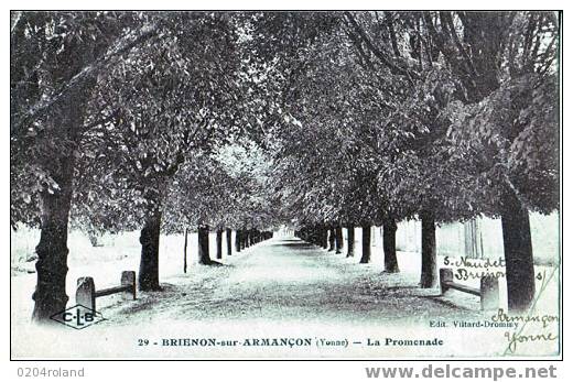 Brienon Sur Armaçon - La Promenade - Brienon Sur Armancon