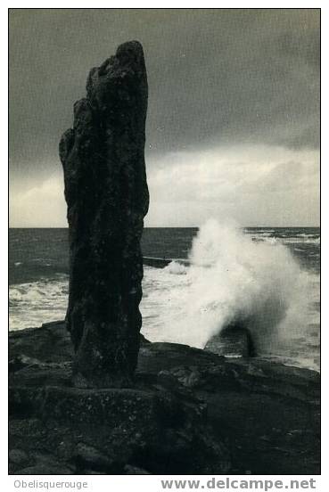 29 BOURG DE BATZ PHOTO JACQUES CHOLET MENHIR PIERRE LONGUE - Ile-de-Batz