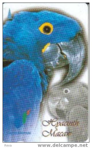 SINGAPORE $10  PARROT PARROTS BIRD BIRDS  BLUE MACOW  CAT CODE:104C  BIG  SERIAL NUMBER  SPECIAL PRICE !! SEE NOTE !! - Singapore