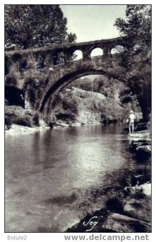 Le Pont De La Croix Vieil Aqueduc... - Le Vigan