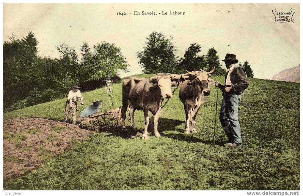 73 Types De Savoie, Attelage De Boeufs Au Labour, Trés Beau Plan, Colorisée, Ed Reynaud 1642, 1909 - Montmelian