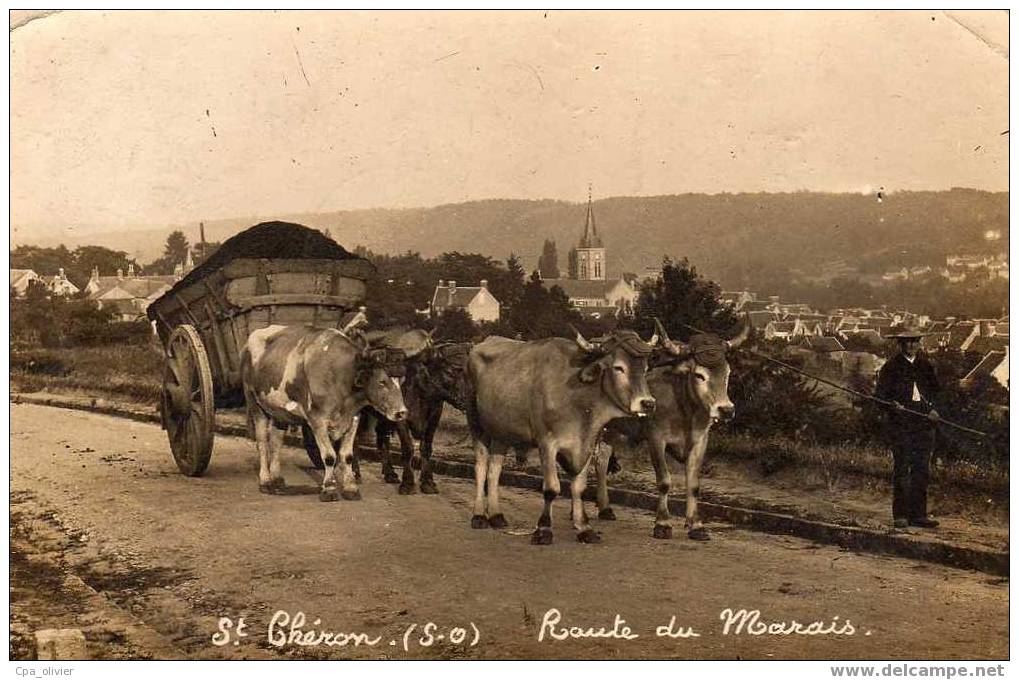 91 ST CHERON Carte Photo, Route Des Marais, Attelage De Boeufs, Trés Beau Plan, 1920 - Saint Cheron