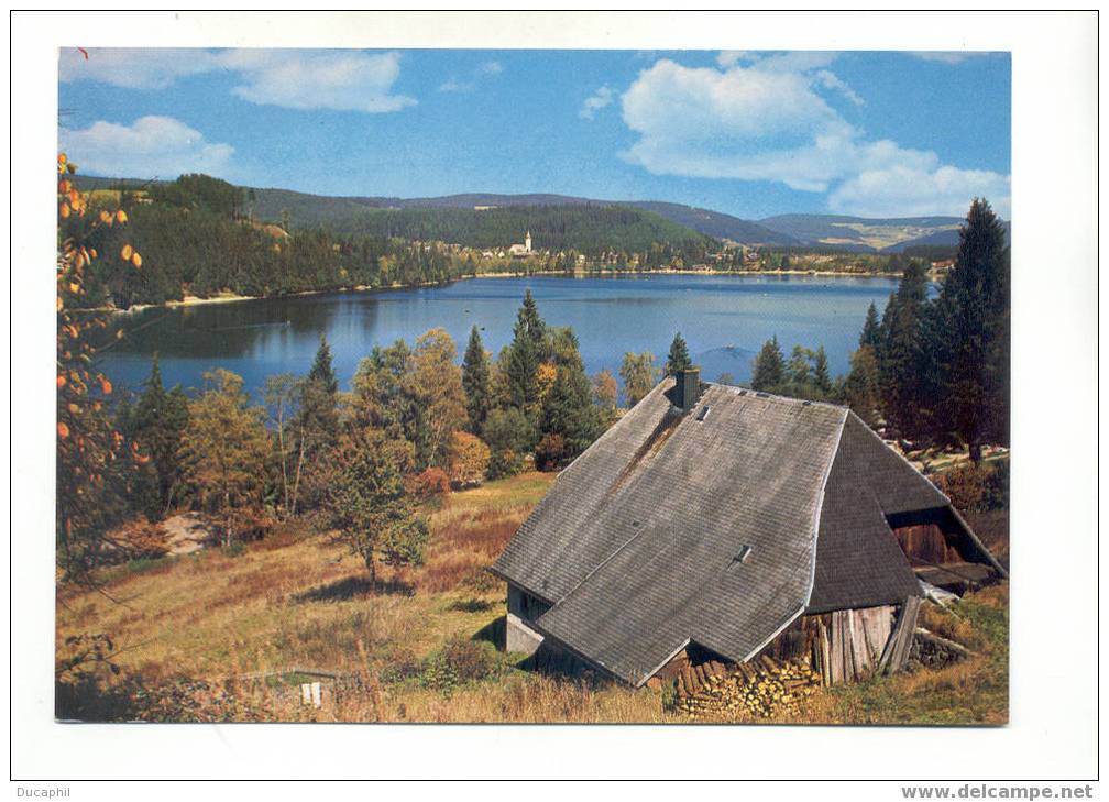 TITISEE IM SUDL HOCHSCHWARZWALD - Hochschwarzwald