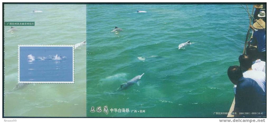 Dolphin - Indo-Pacific Hump-backed Dolphin (Sousa Chinesis) At Sanniang Berth, China Prepaid Postcard - B - Dauphins