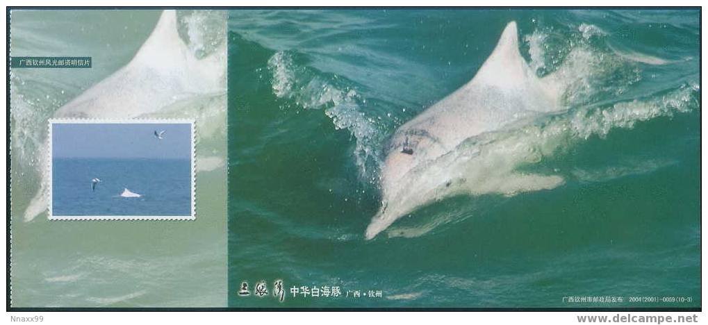 Dolphin - Indo-Pacific Hump-backed Dolphin (Sousa Chinesis) At Sanniang Berth, China Prepaid Postcard - A - Dauphins