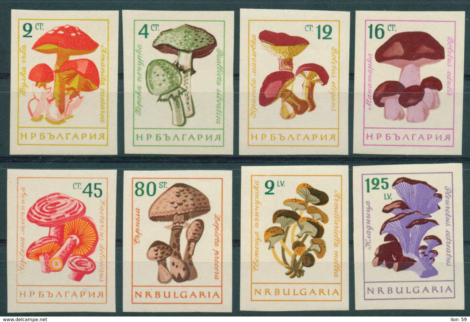 1323 Bulgaria 1961 Plants >  Mushrooms Various Mushrooms Imperf - / Pilze Bulgarie Bulgarien Bulgarije - Unused Stamps