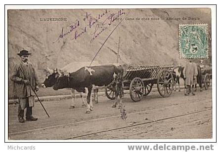 CPA AUVERGNE - Gens De Chez Nous - Attelage De Boeufs - Spannen