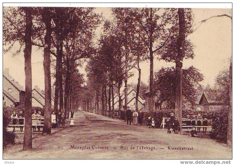 MERXPLAS-COLONIE = Top Cp = Rue De L'élevage - Kweekstraat  N° 20 - Merksplas