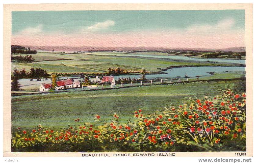 Prince Edward Édouard Island IPE PEI Fleurs Flowers Paysage 1941 Voyagée - Other & Unclassified