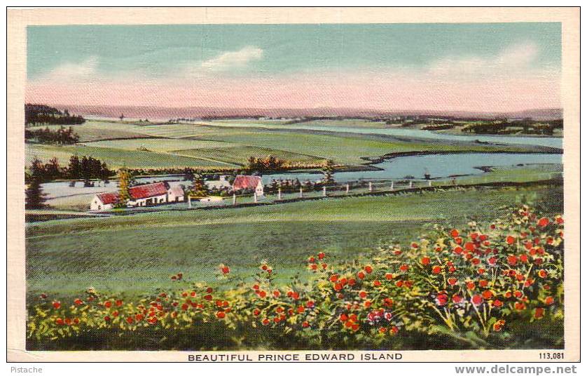 Prince Edward Édouard Island IPE PEI Fleurs Flowers Paysage 1941 Voyagée - Autres & Non Classés