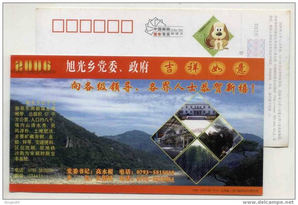 China 2006 Xuguang Town New Year Greeting Pre-stamped Card Specialized Land Tortoise Turtle Breeding Industry - Tortugas
