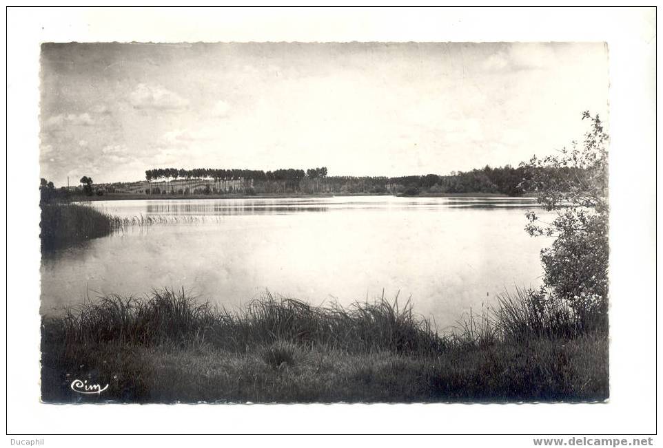 ENVIRONS DE MOREE L ETANG - Moree