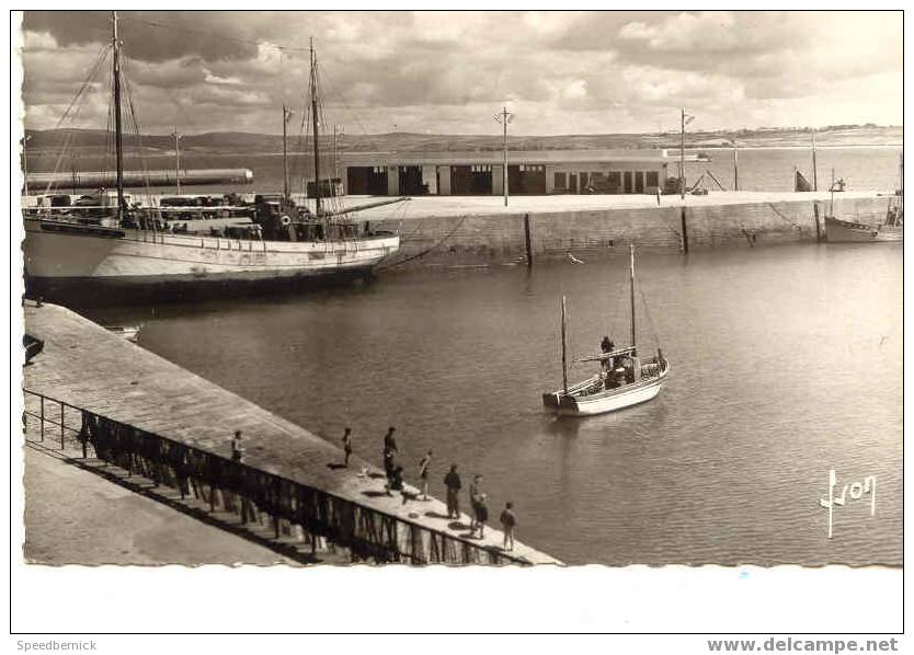 5262 Douarnenez Un Coin Du Port Et La Nouvelle Criée B 38 Yvon Bateau Et Voilier - Douarnenez