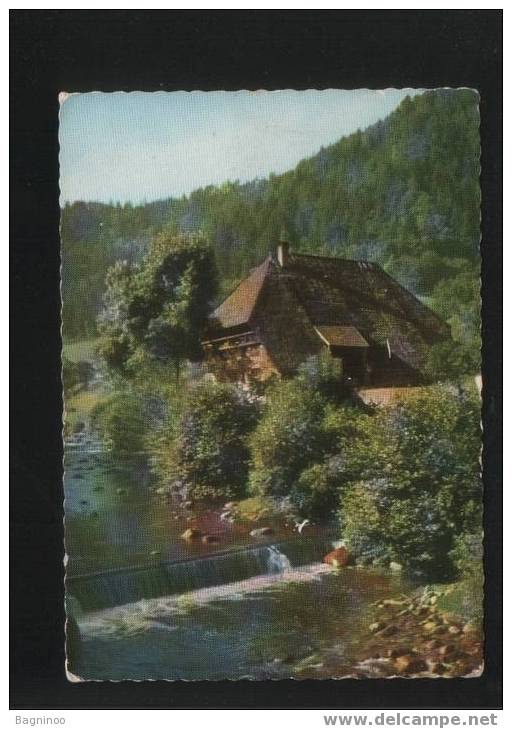 GUTACHTAL  Postcard GERMANY - Gutach (Breisgau)