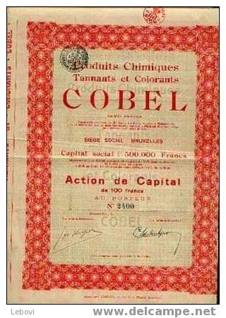 BRUXELLES "Produits Chimiques, Tannants & Colorants COBEL Sa" Action De Capital De 100 Fr - Capital : 500.000 Fr - Industrie