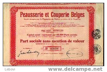 BRUXELLES "Peausserie & Couperies Belges" - 65000 Parts Sociales - Tessili