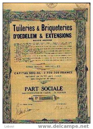 BRUXELLES "Tuileriers Et Briqueteries D´OEDELEM & Extensions Sa" - Industry