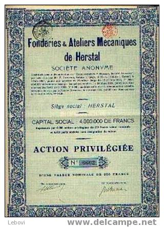 "Fonderies & Ateliers Mécaniques De HERSTAL Sa" - Action Privilégiée - Industrie