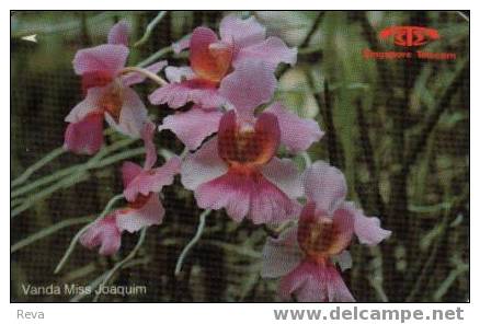 SINGAPORE $10 VANDA   ORCHID  ORCHIDS  FLOWER FLOWERS  CODE: 11SIGA  BIG SERIAL NUMBER - Singapour