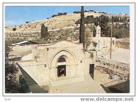 JERUSALEM : Tombeau De La Vierge , Vue Sur La Colline   ; TB - Palästina