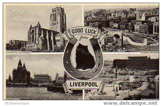 Good Luck From Liverpool - Cathedral - Tunnel Entrance - Merseyside St. George's Hall - Liverpool