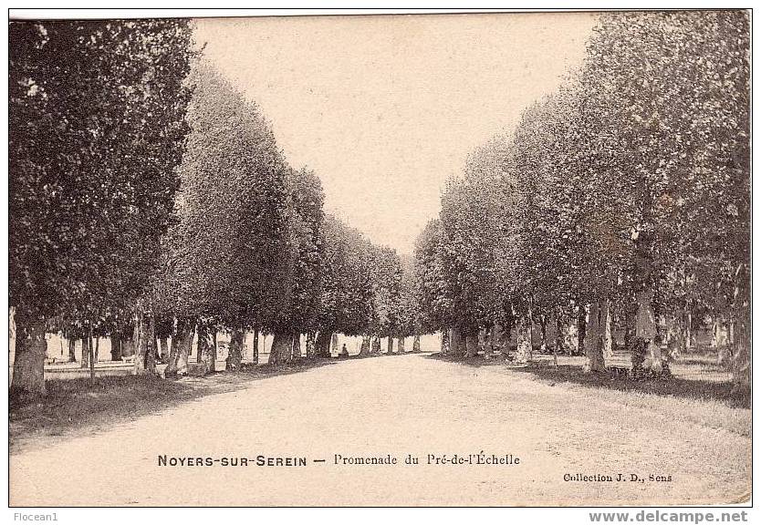 89 - YONNE - NOYERS - PROMENADE DU PRE-DE-L´ECHELLE - BELLE CPA - Noyers Sur Serein