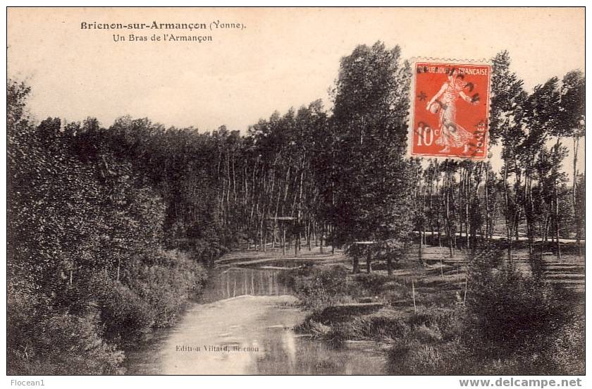 89 - YONNE - BRIENON-SUR-ARMANCON - UN BRAS DE L´ARMANCON - BELLE CPA - Brienon Sur Armancon