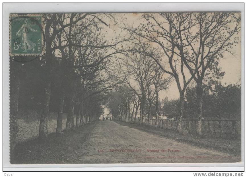 BRÛLON.  AVENUE DES FRESNES. - Brulon