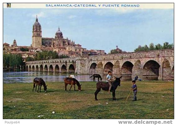 Salamanca - La Cathédrale - Salamanca