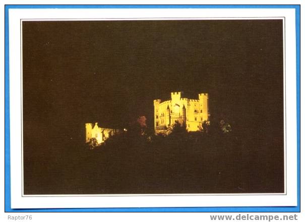 ALLEMAGNE  BAVIERE  Chateau De Hohenschwangau  Format Et Support Carte Postale - Other & Unclassified