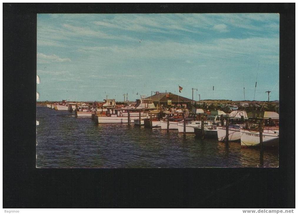 CAPTREE STATE PARK Postcard USA - Fishing Boats