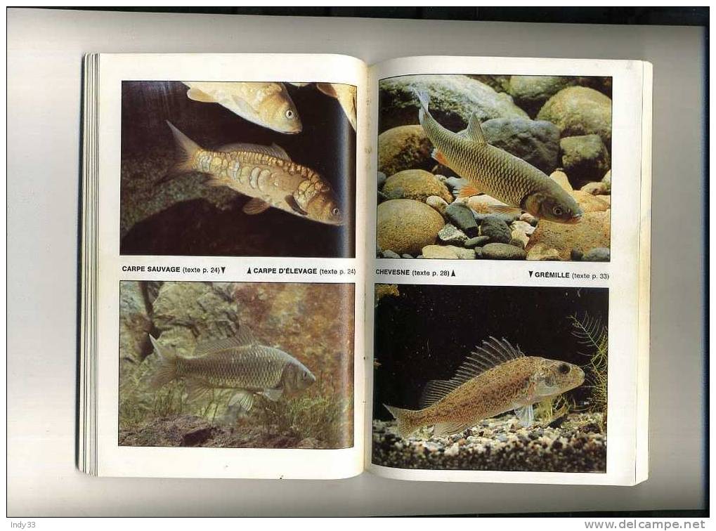 - LES POISSONS DE LAC ET D´ETANG . PAR H. CHAUMETON . EDIT. SOLARAMA  1981 - Fischen + Jagen