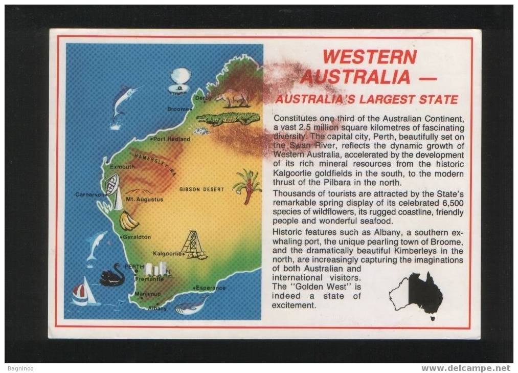 WESTERN AUSTRALIA Postcard AUSTRALIA - Andere & Zonder Classificatie