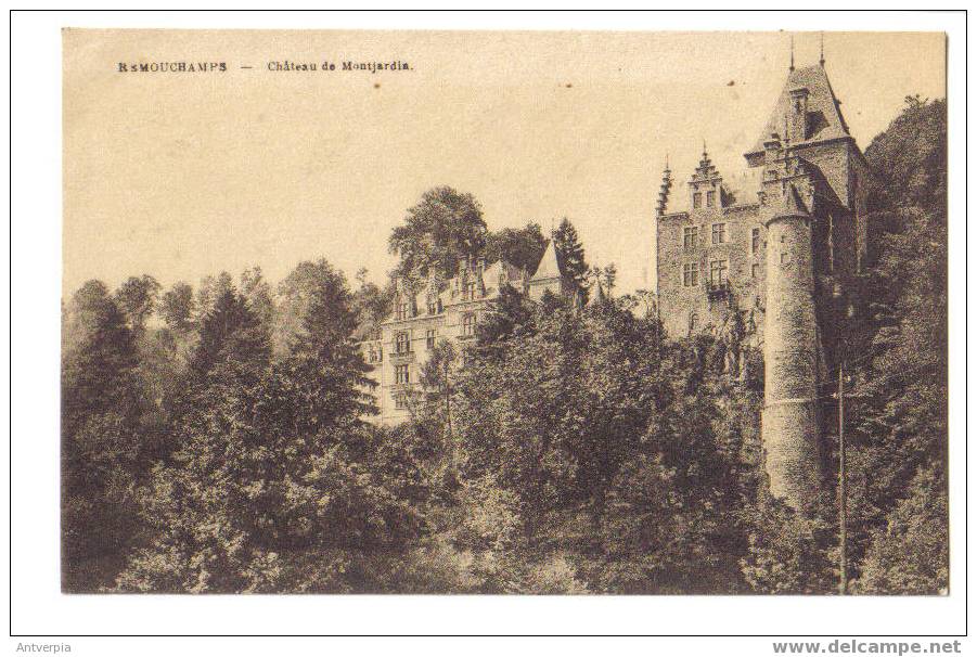 Remouchamps Chateau Montjardin ( Carte Vierge) Edit Desaix - Aywaille