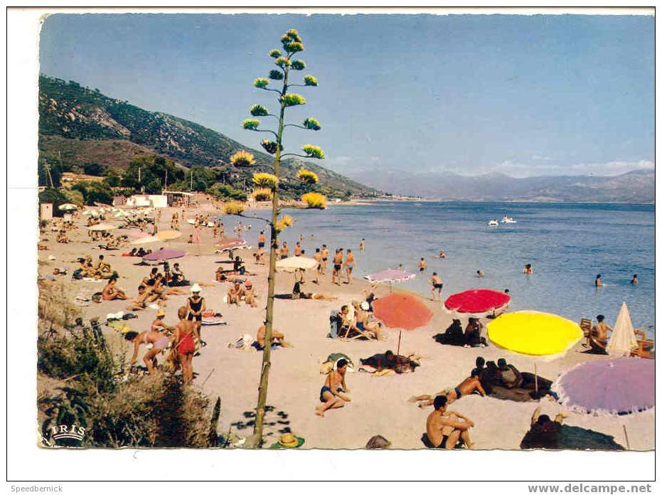 5494 Ajaccio Offre Aux Touristes Plage Scudo 20.999.89 La Cigogne - Ajaccio