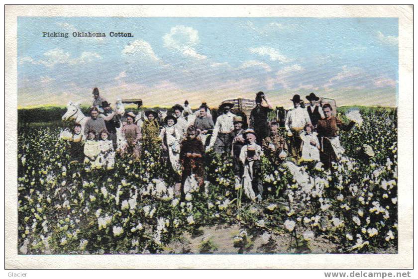 Picking Oklahoma Cotton - Katoen - Autres & Non Classés