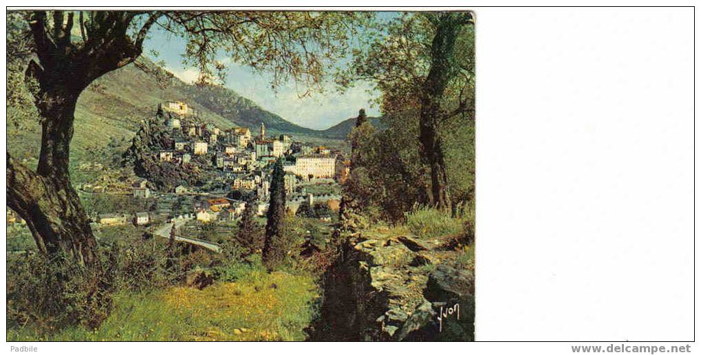 Carte Postale  Corte  La Ville à Traver Les Oliviers - Corte