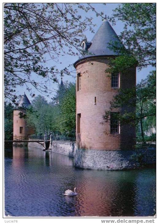 SAVIGNY SUR ORGE  -   Le Château, Les Tourelles - Savigny Sur Orge