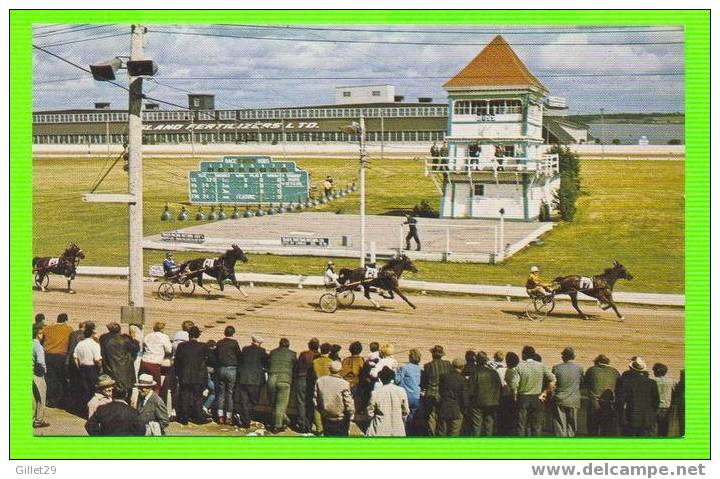 CHARLOTTETOWN, PEI -  RACE TRACK - PLASTICHROME - - Charlottetown