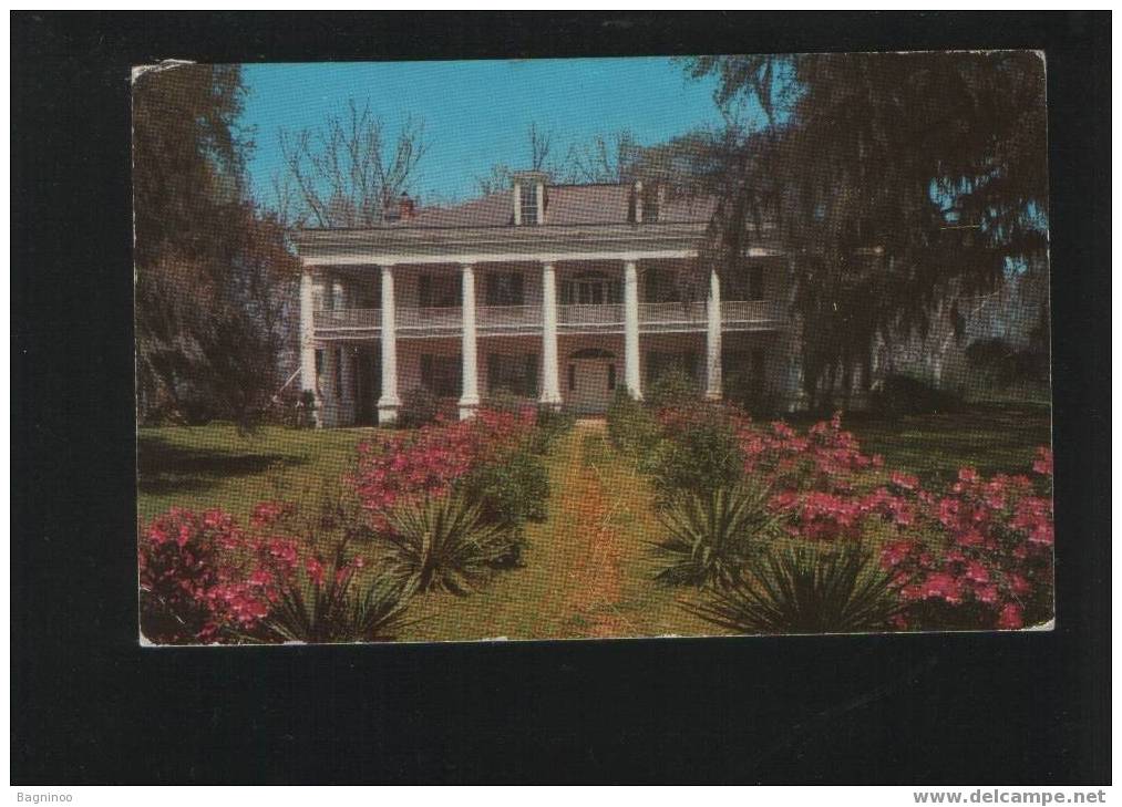 BATON ROUGE Postcard USA THE COTTAGE - Baton Rouge