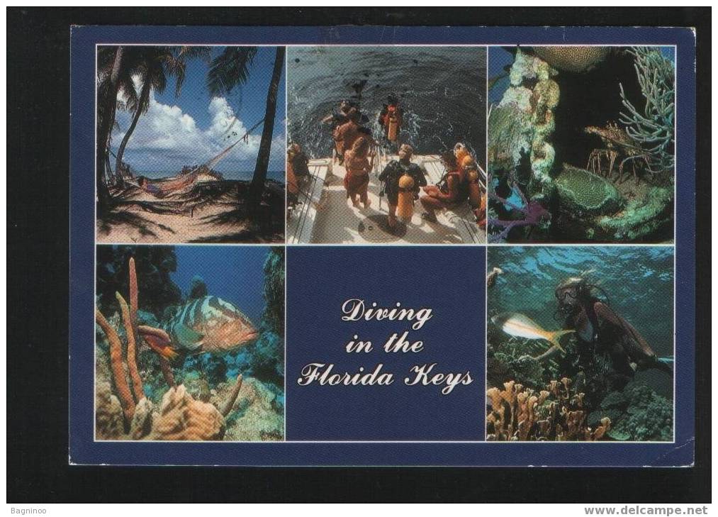 FLORIDA KEY  Postcard USA - Key West & The Keys