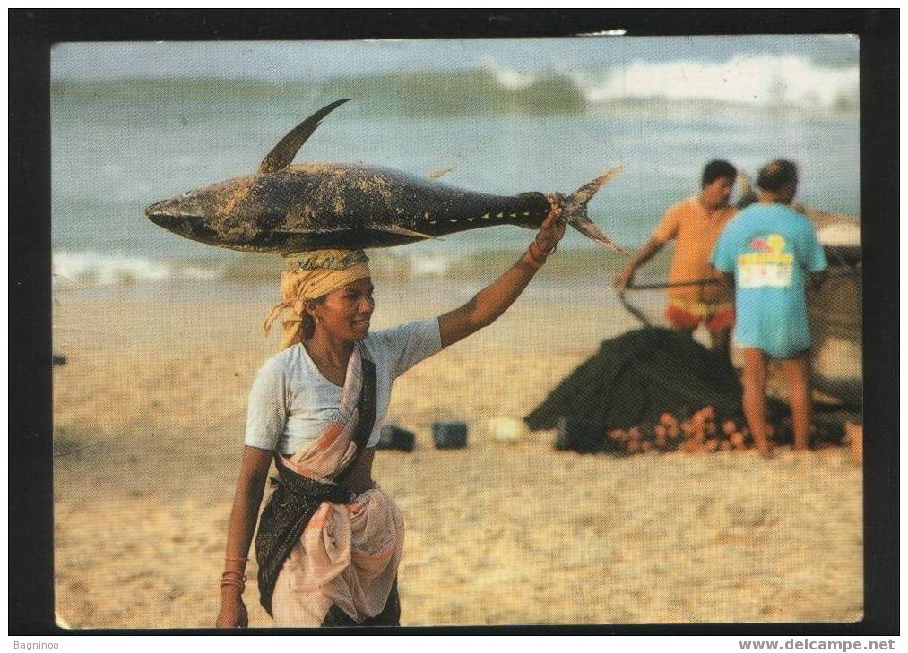 INDIA Postcard REGAL CATCH - Fishing