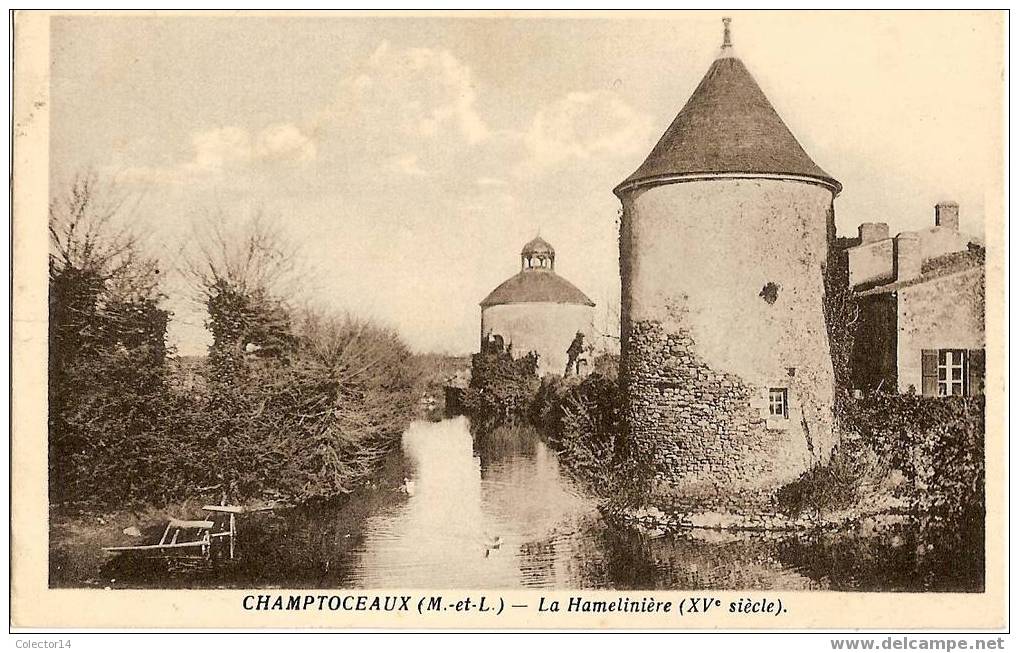 CHAMPTOCEAUX LA HAMELINIERE - Champtoceaux