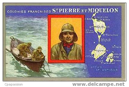 ST-PIERRE-MIQUELON- 975 - Colonies Françaises - Carte Du Lion Noir-  Paypal Sans Frais - Saint-Pierre-et-Miquelon