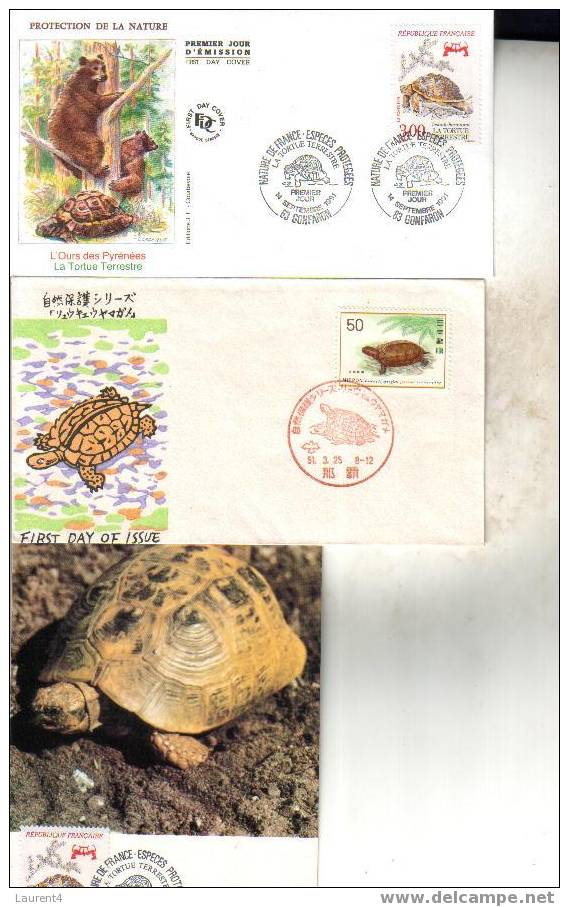 3 Tortoise Postcard & Cover - 3 Carte De Tortue + FDC - Tortugas
