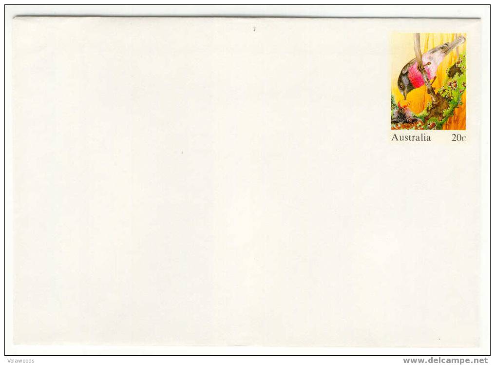 Australia - Busta Postale Nuova: Rose Robin - Parrots