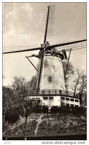 Rhenen Panorama Molen. - Rhenen